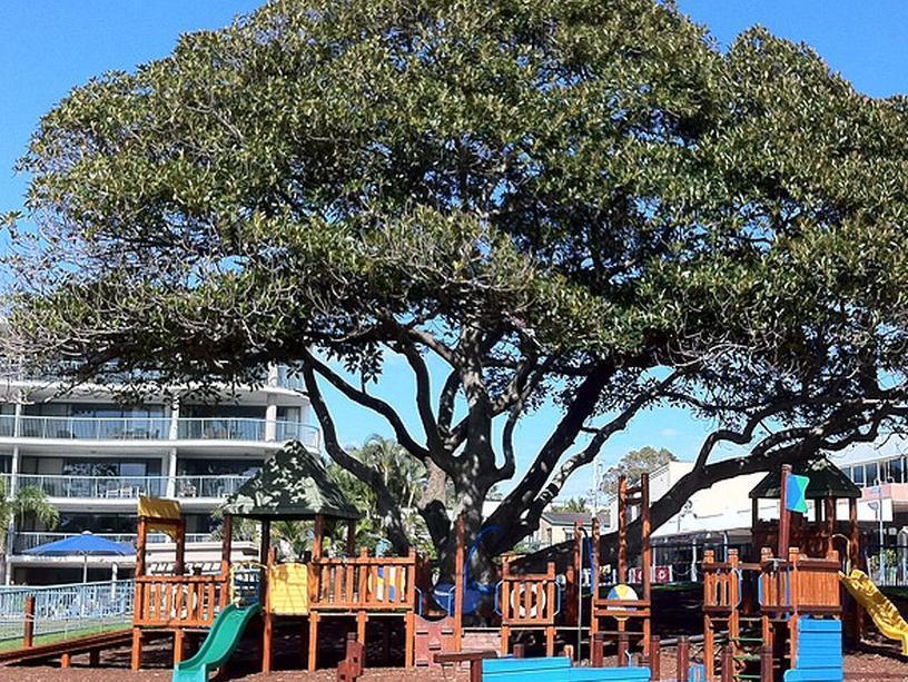 Moffat Beach Motel Caloundra Dış mekan fotoğraf